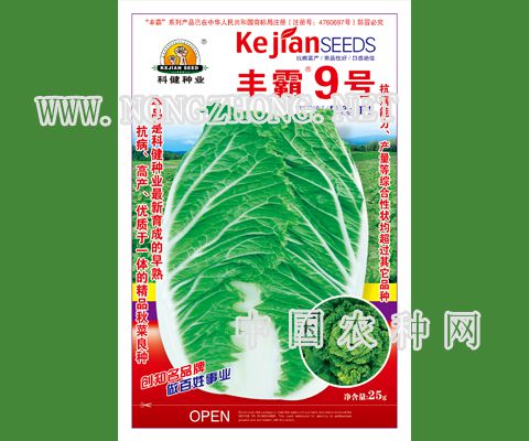 丰霸9号